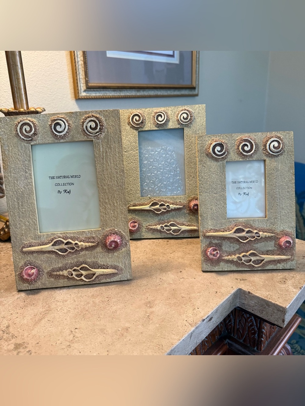 The Natural World By Raj Beachy Seashell Picture Frame Set - 3 Pack